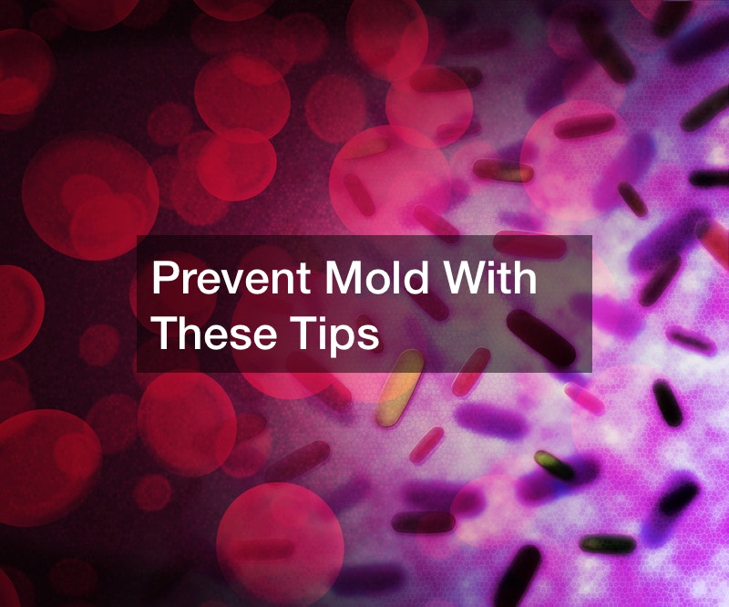 Prevent Mold With These Tips