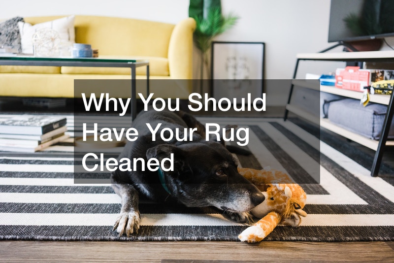 Why You Should Have Your Rug Cleaned